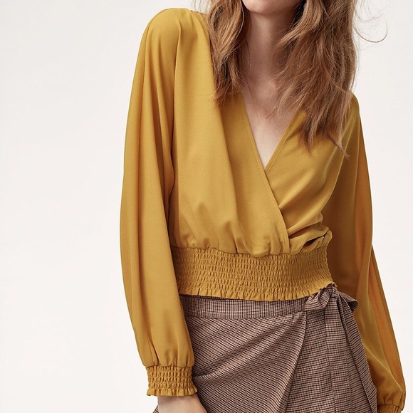 Aritzia Tops - Aritzia/Wilfred Reign Blouse